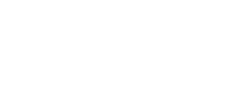 NICOLA GIANNETTI
